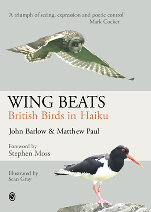 Wing Beats