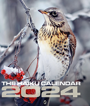 The Haiku Calendar 2024